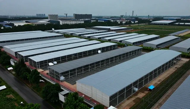 视频剪辑中如何避免品牌形象不一致的问题
